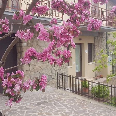 카스틸리오니도르시아 La Casina Di Nonna Giulia 아파트 외부 사진