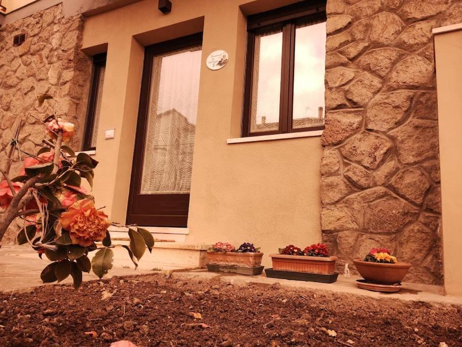 카스틸리오니도르시아 La Casina Di Nonna Giulia 아파트 외부 사진